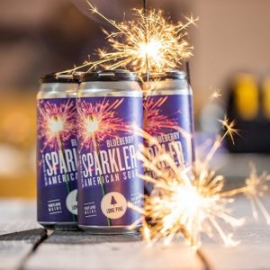 Blueberry Sparkler Sour Ale