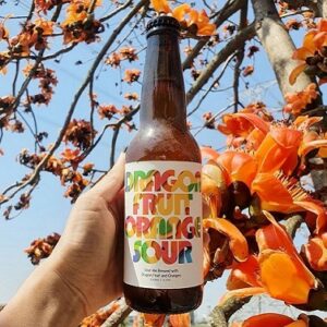 Dragon Fruit Orange Sour