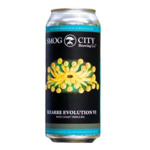 Bizarre Evolution VI